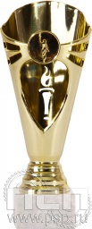 Кубок 9685C (16см)