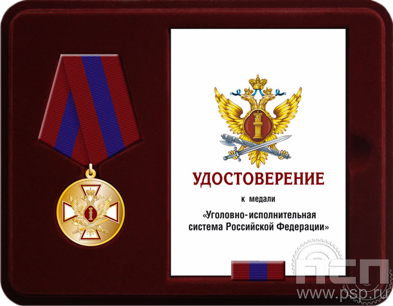 Комплект наградной к медали "ФСИН России"