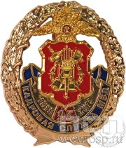 Нагрудный знак «95 лет Кадровая служба МВД» 05.44к