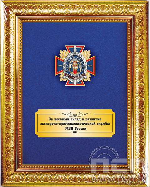 5.7.01.199. Панно с нагрудным знаком "105 лет ЭКЦ МВД России" на бархате в рамке