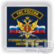 8.20.64. Магнит акриловый "УИС России"