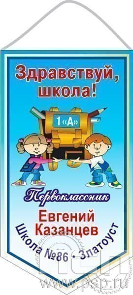 12.1.1. Вымпел ламинированный с текстом заказчика