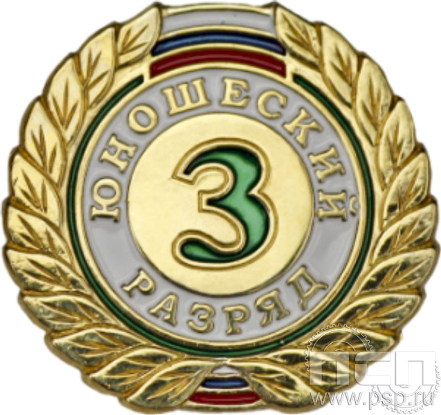 СРиЗ9. Значок 3 разряд юношеский 