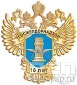 248.1 Нагрудный знак 10 лет Госжелдорнадзор