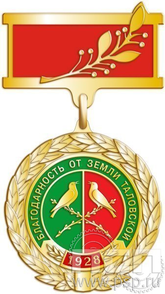 139.1.8. Нагрудный знак Благодарность от земли Таловской