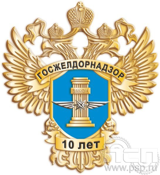 248.1 Нагрудный знак 10 лет Госжелдорнадзор