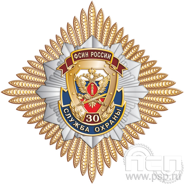 5.3. Нагрудный знак "30 лет Служба охраны ФСИН"