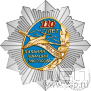 5.2(e). Нагрудный знак "110 лет Дальняя Авиация ВВС России"