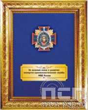 5.7.01.199. Панно с нагрудным знаком "105 лет ЭКЦ МВД России" на бархате в рамке