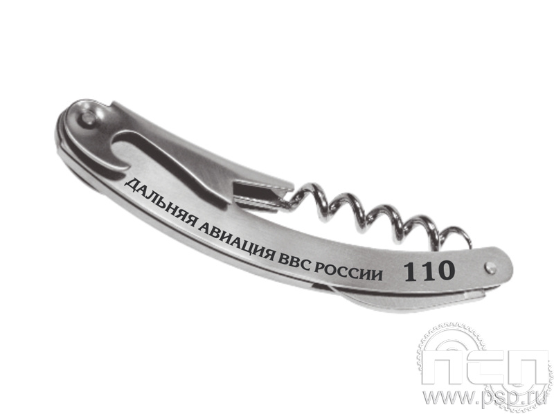 8.5.1. Набор складной "110 лет Дальняя Авиация ВВС России"
