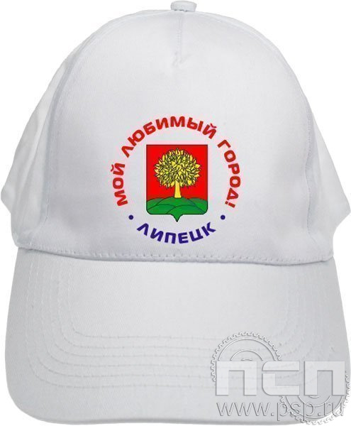 8.9.3. Бейсболка с символикой города