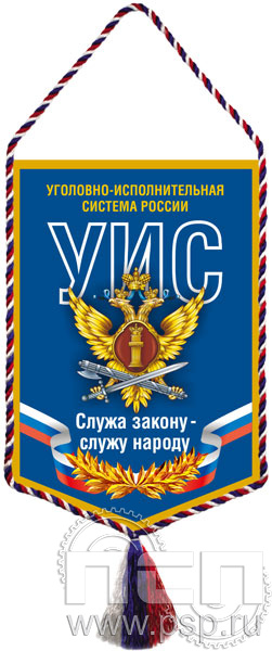 12.1.2. Вымпел тканевый А5 "УИС России"