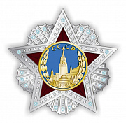 Купить 286.1. Нагрудный знак "Орден Победы"