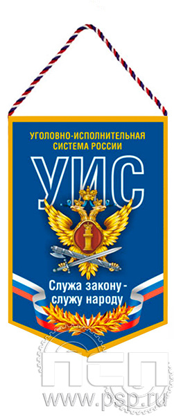 12.1.1. Вымпел ламинированный "УИС России"
